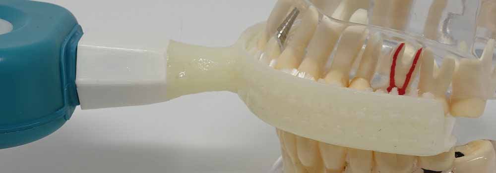 Y-Brush on model teeth