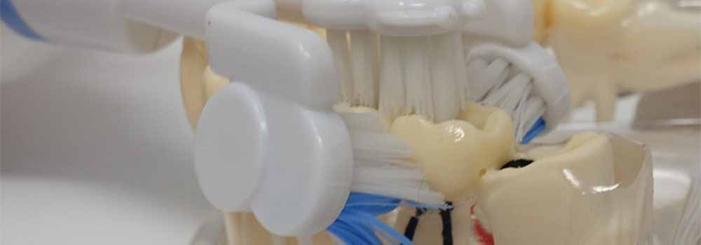Triple Bristle toothbrush on model teeth
